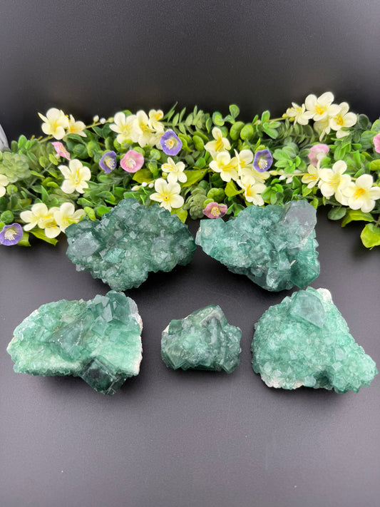 Daylight Fluorite Clusters