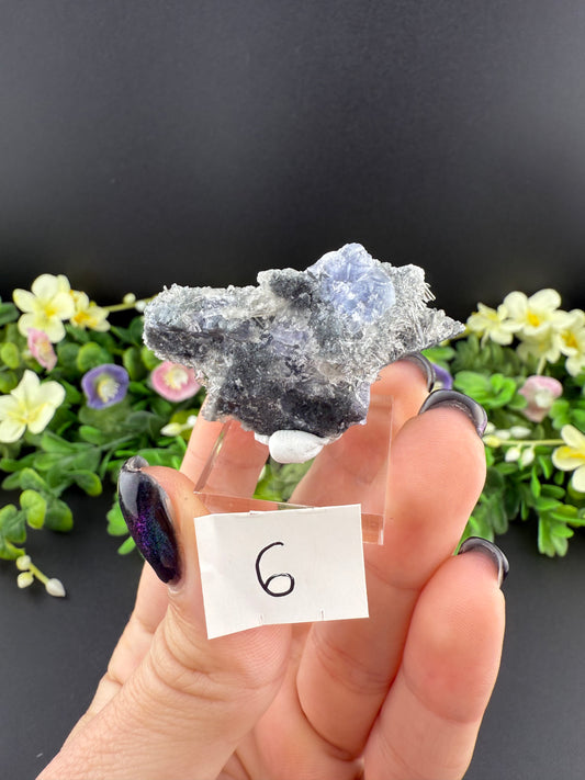 Tanzanite Fluorites