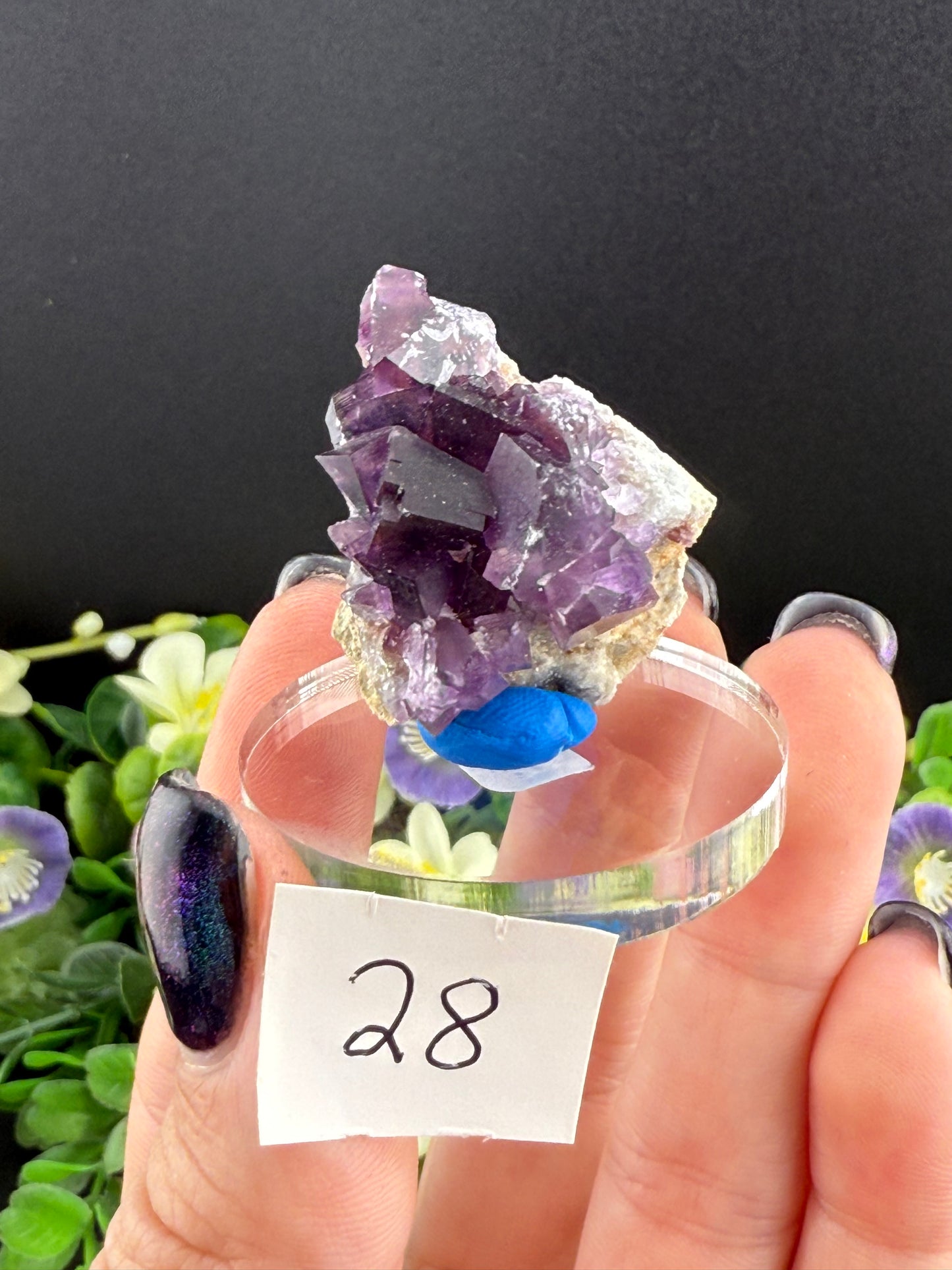 High Quality Purple “Window” Fluorites
