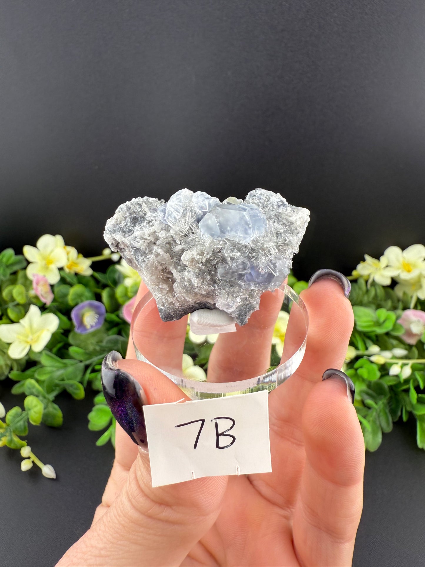 Tanzanite Fluorites