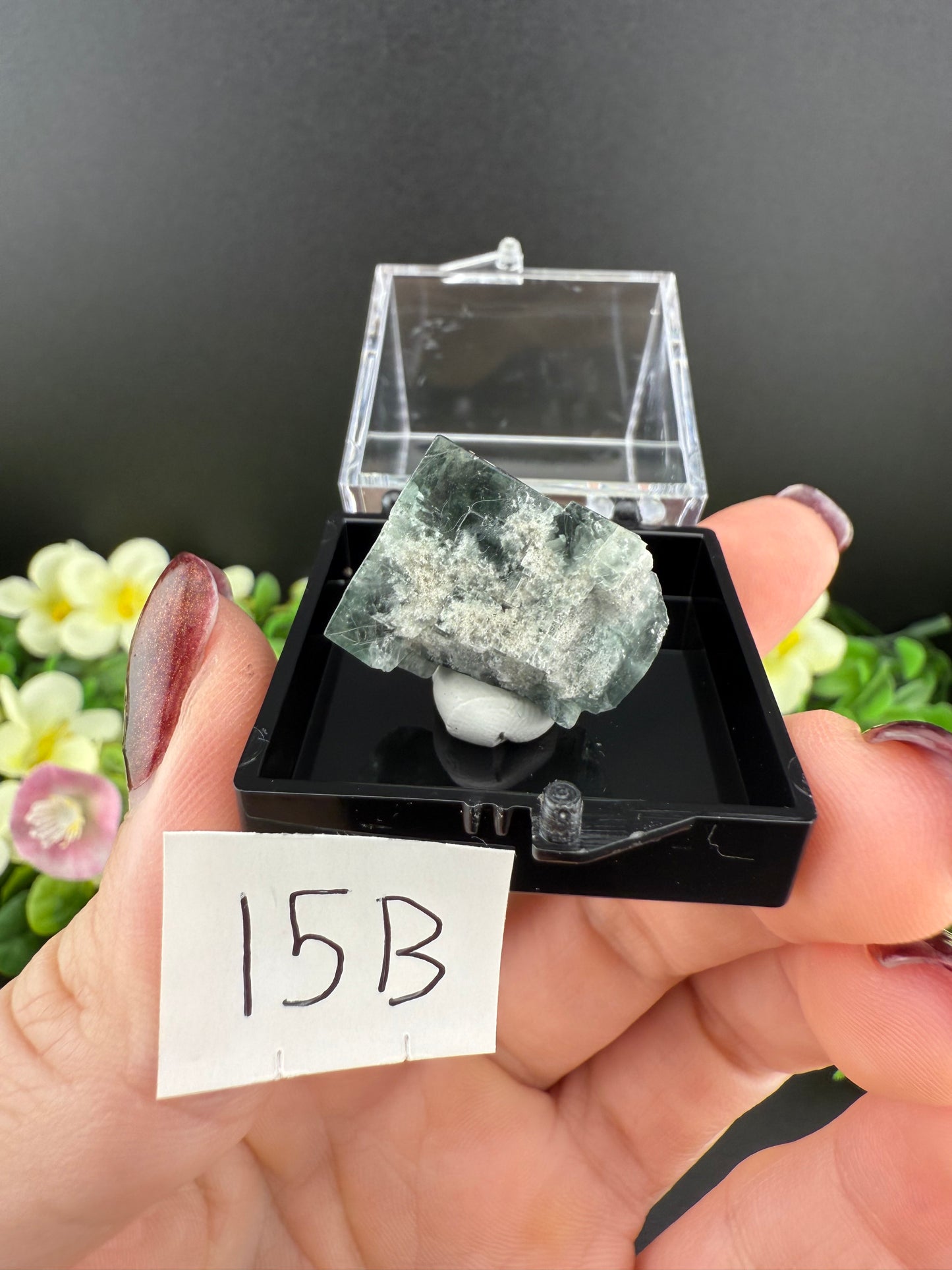 Milky Way Fluorites