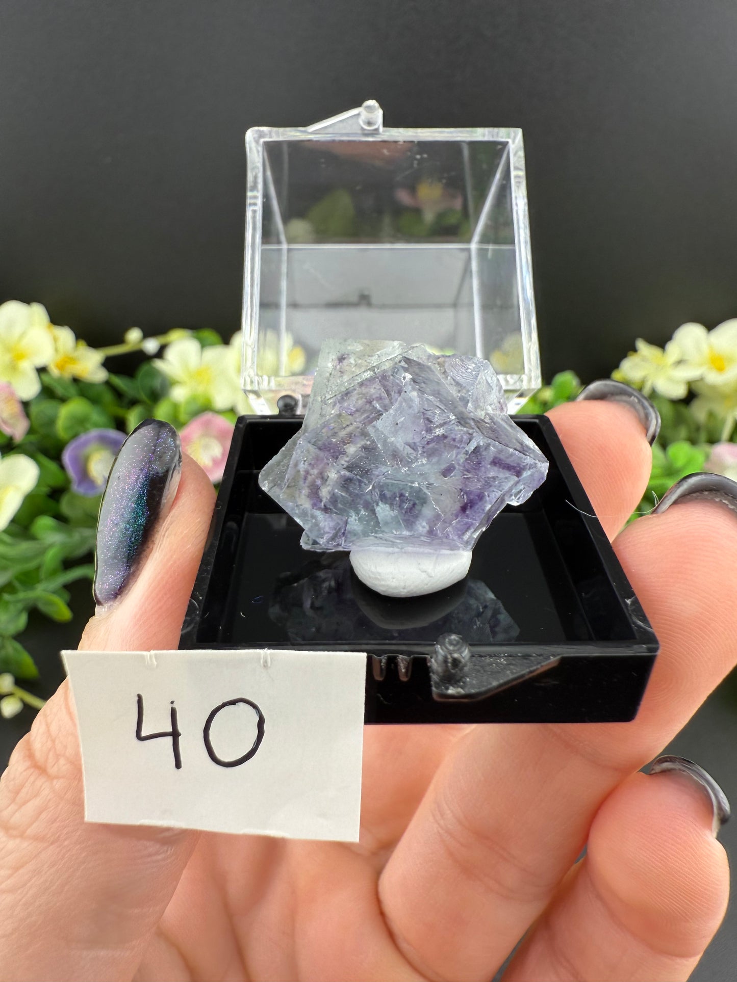 YGX Fluorites (Lot 1)