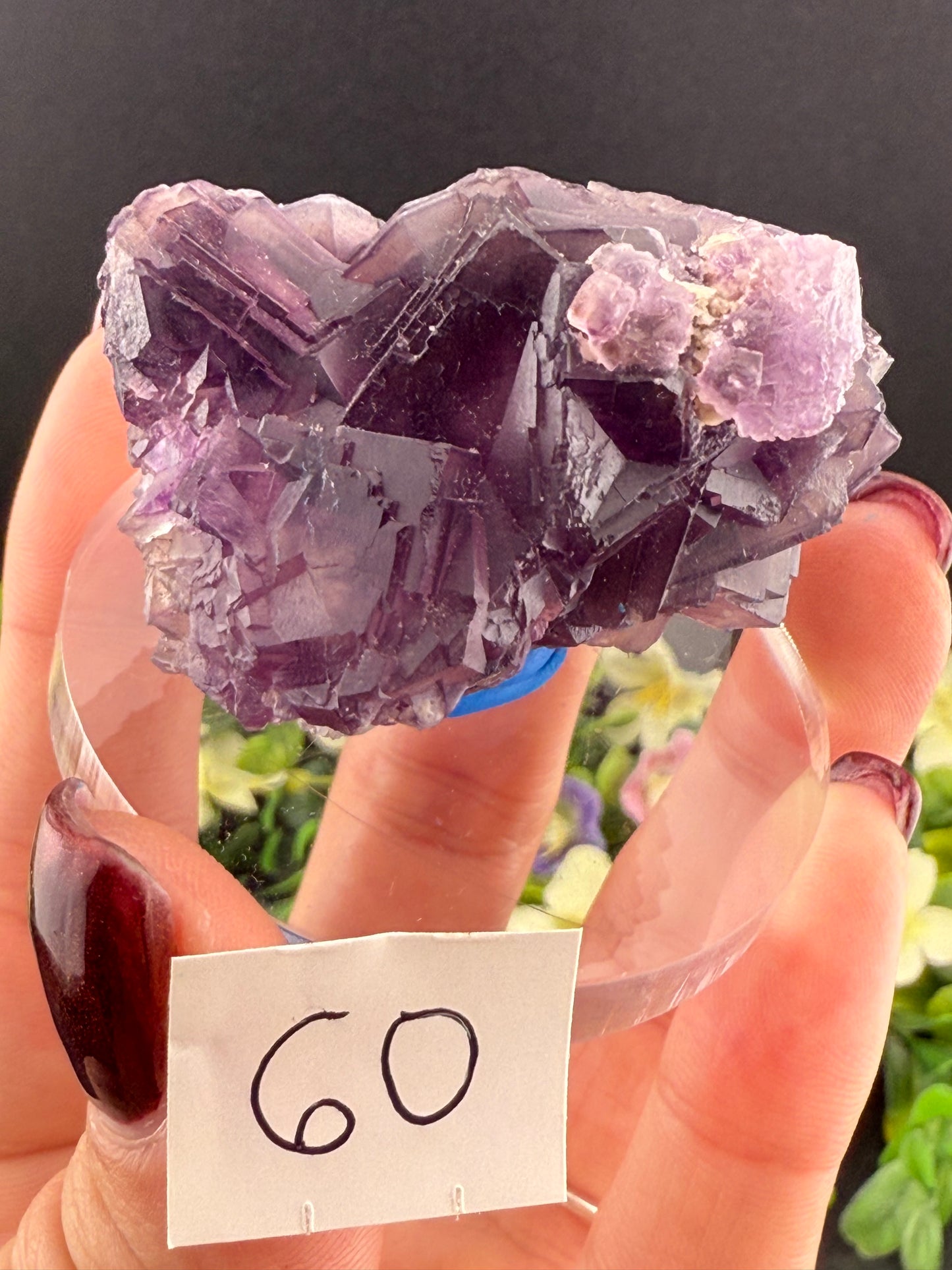 Purple “Window” Fluorites