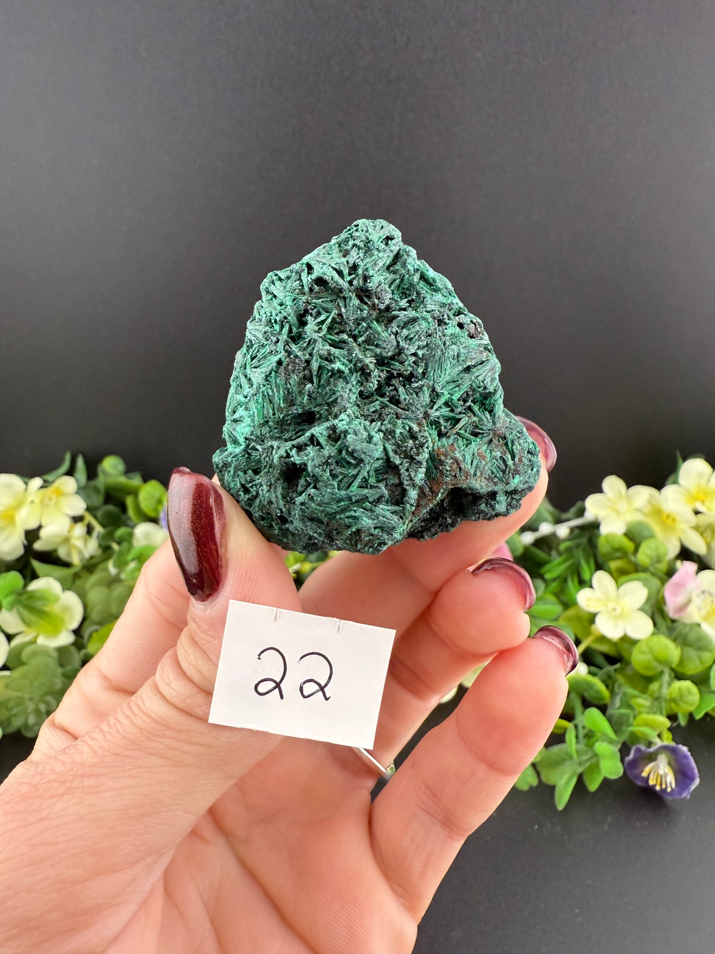 Velvet Malachite Specimens
