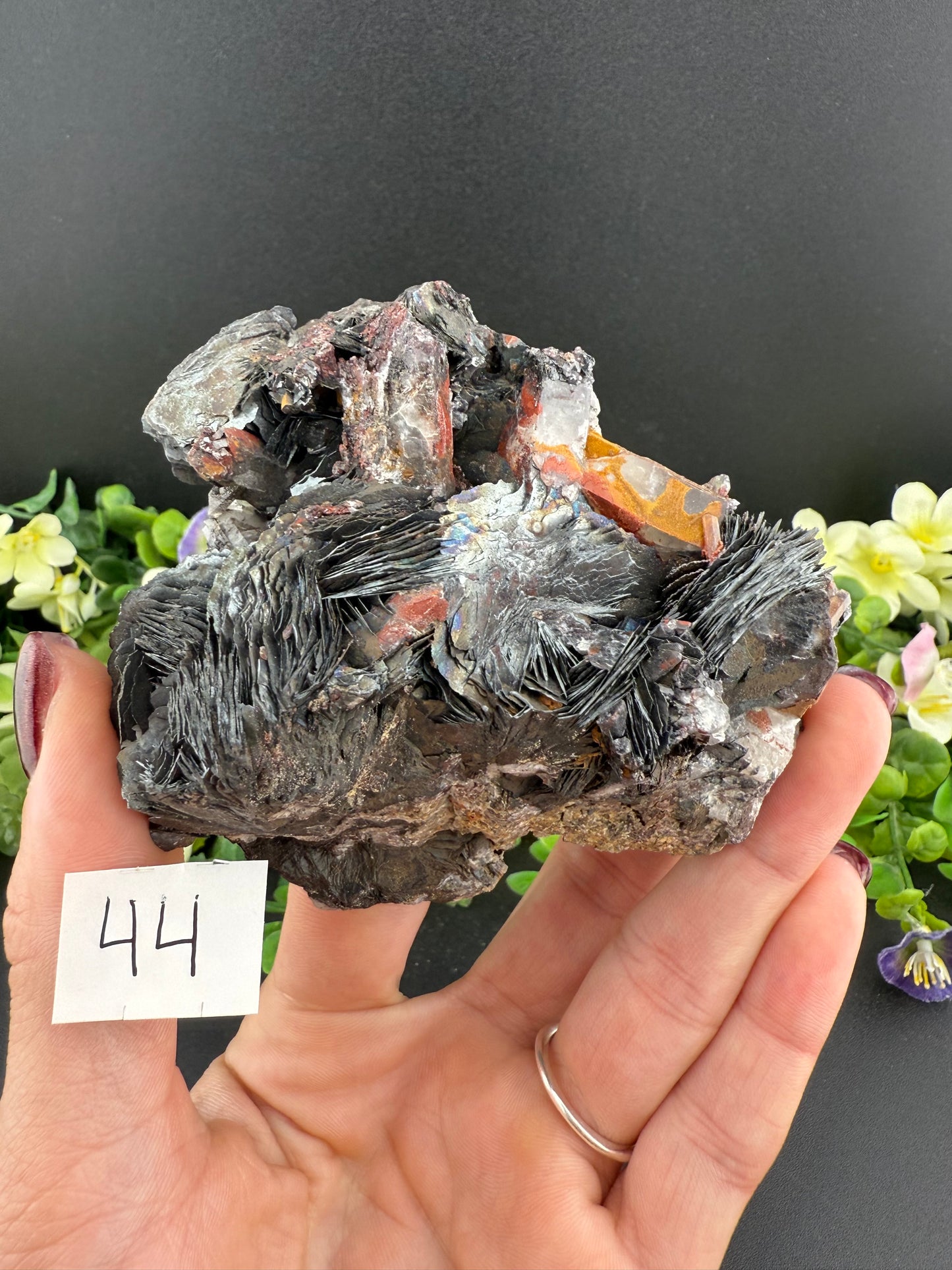 Specularite Rose Specimens