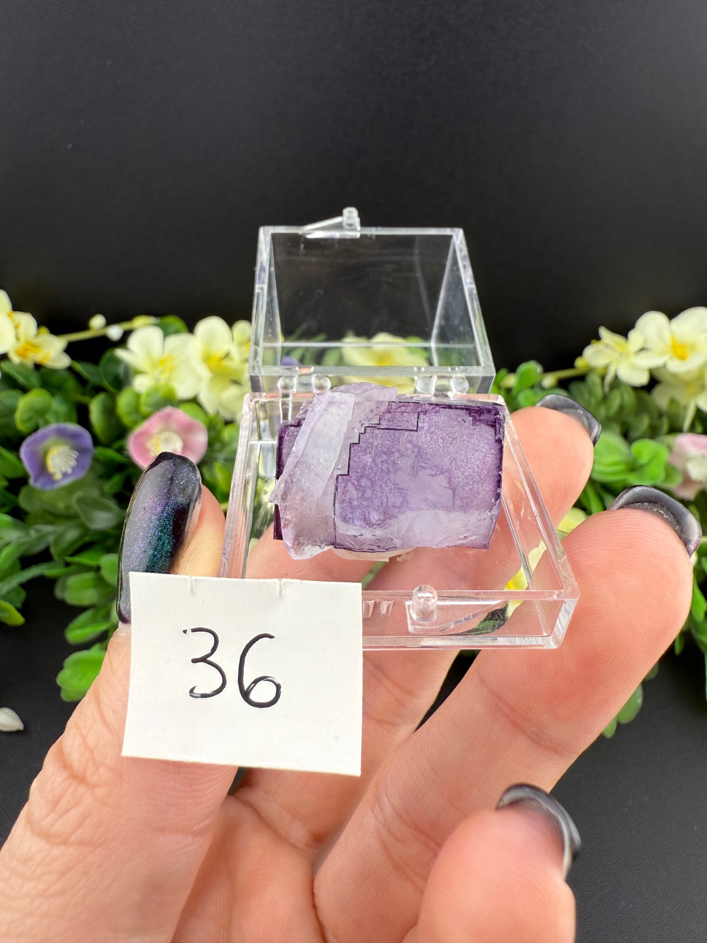 YGX Fluorites (Lot 1)