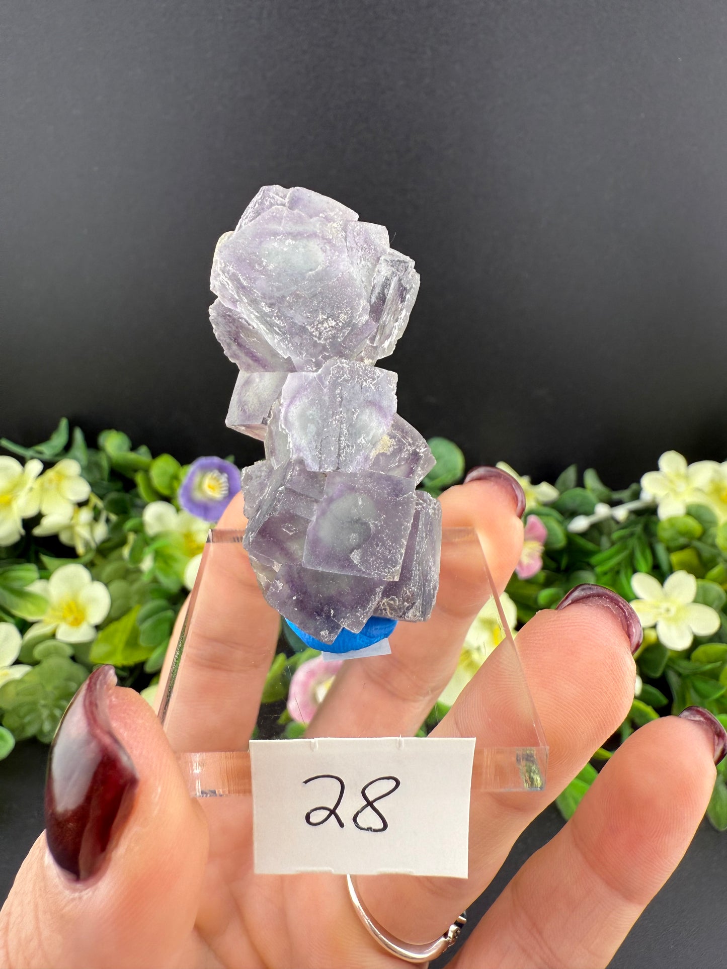 Fluorites on Candle Quartz