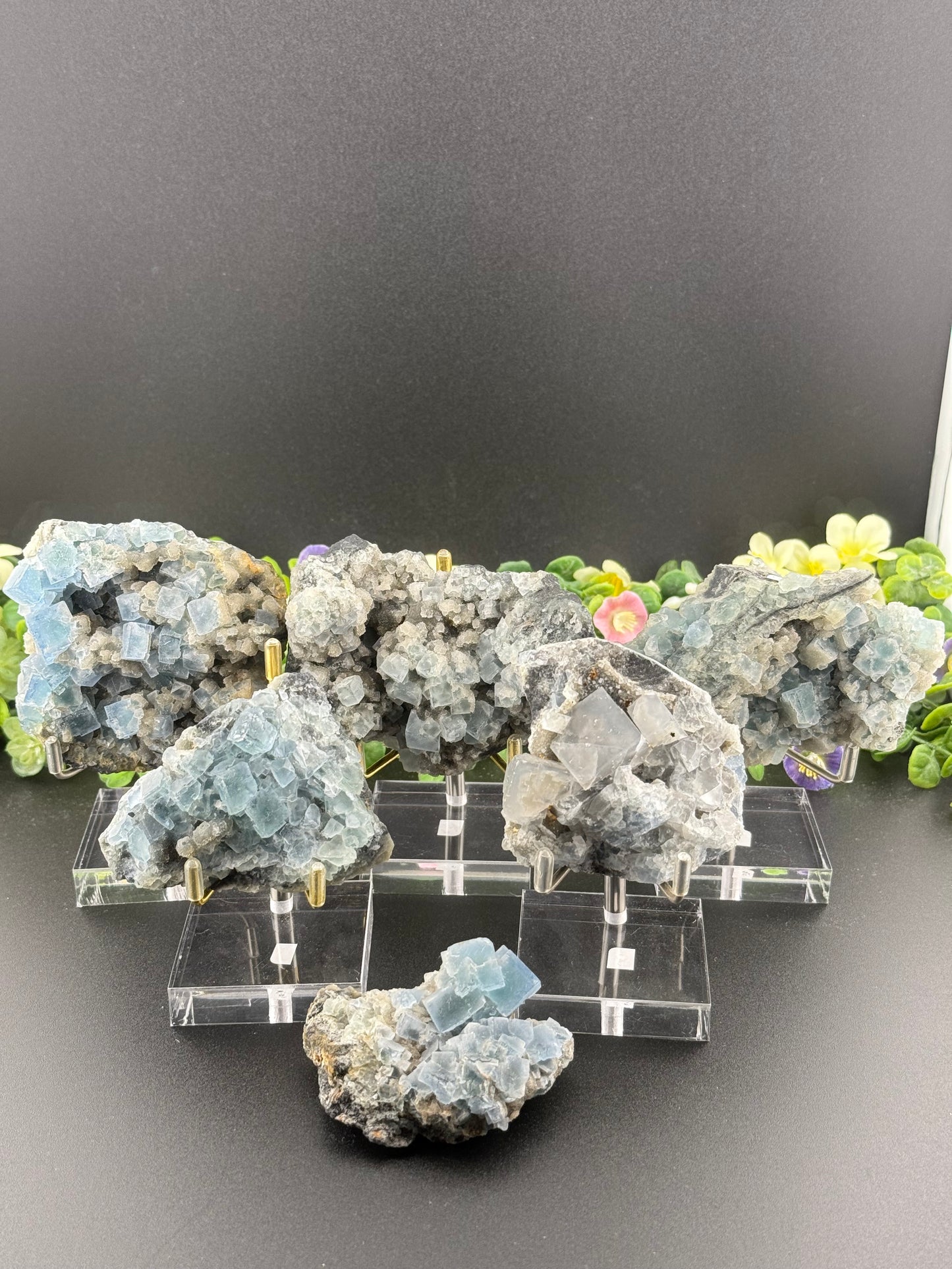 Blue Cubic Fluorite on Druzy Quartz Specimens