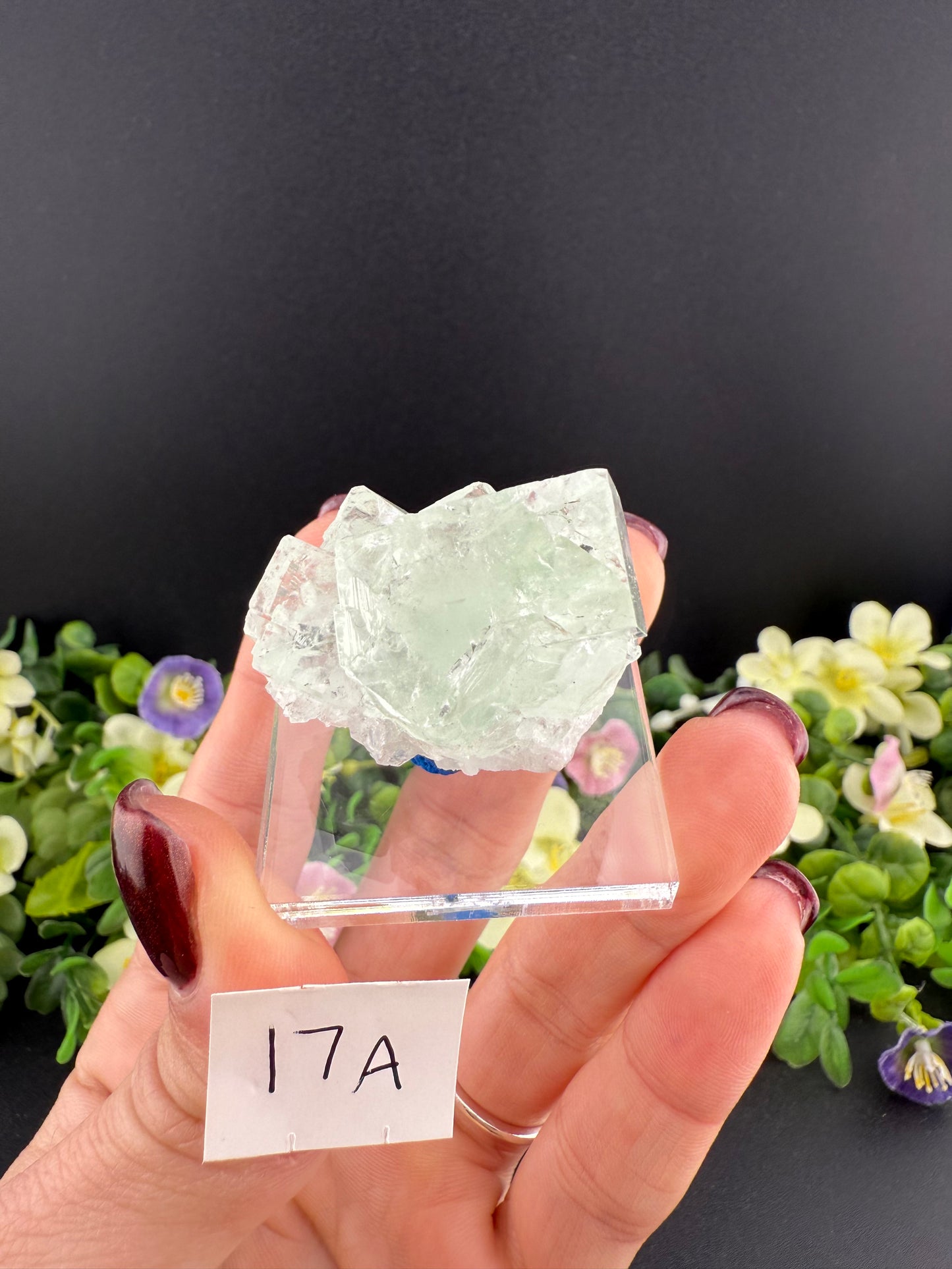 Clear Cubic Fluorite Specimens