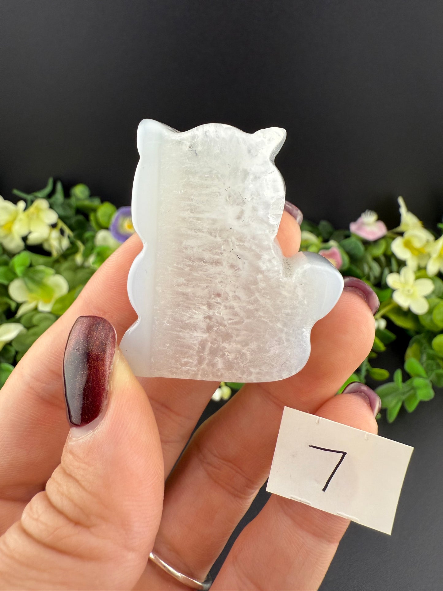 Agate Cat Slices