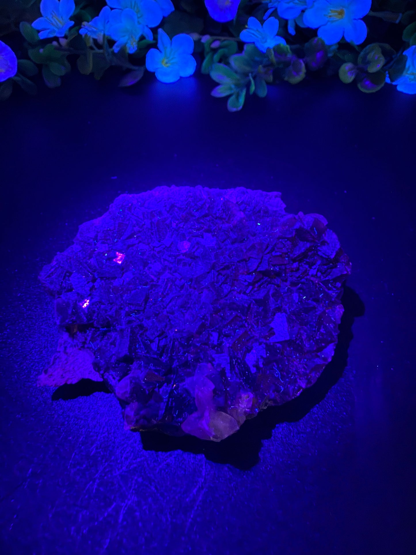 Black Rose Fluorite