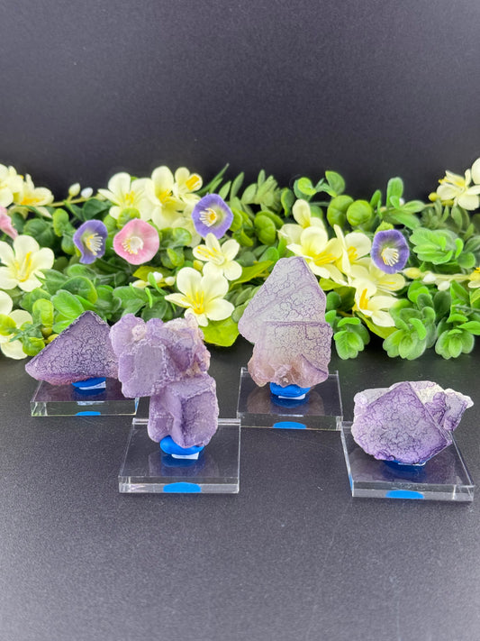 “QR-Code” Fluorites