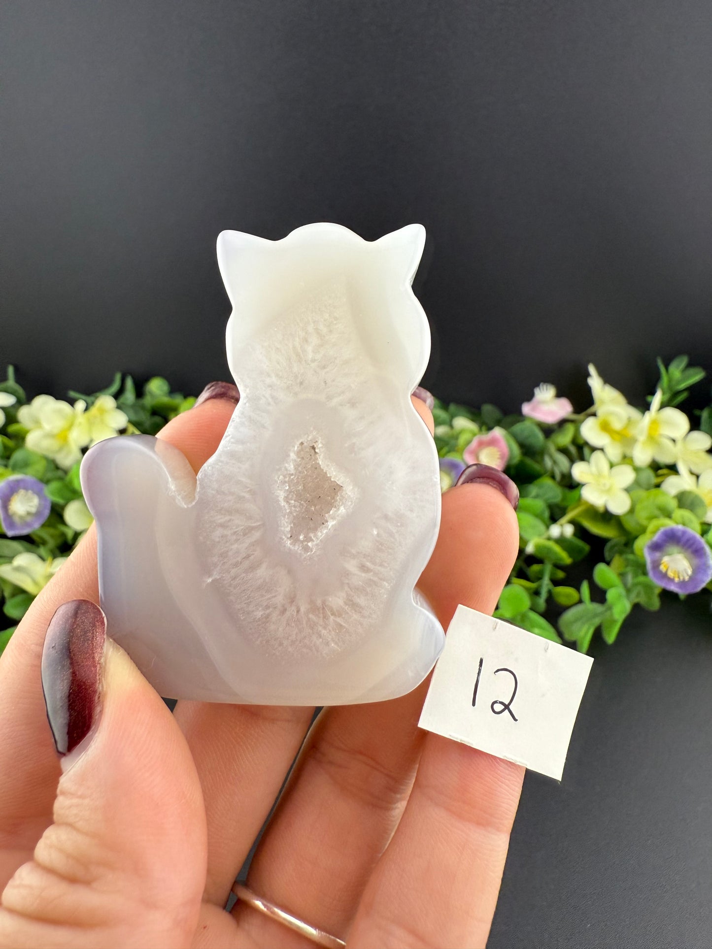 Agate Cat Slices