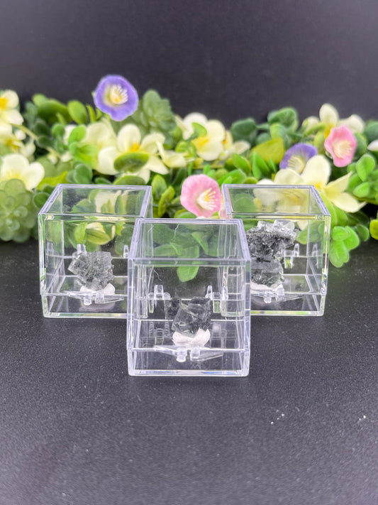 Small Green Garden Fluorite