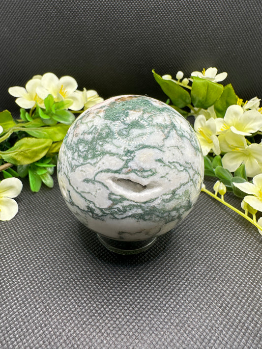 Tree Agate Sphere