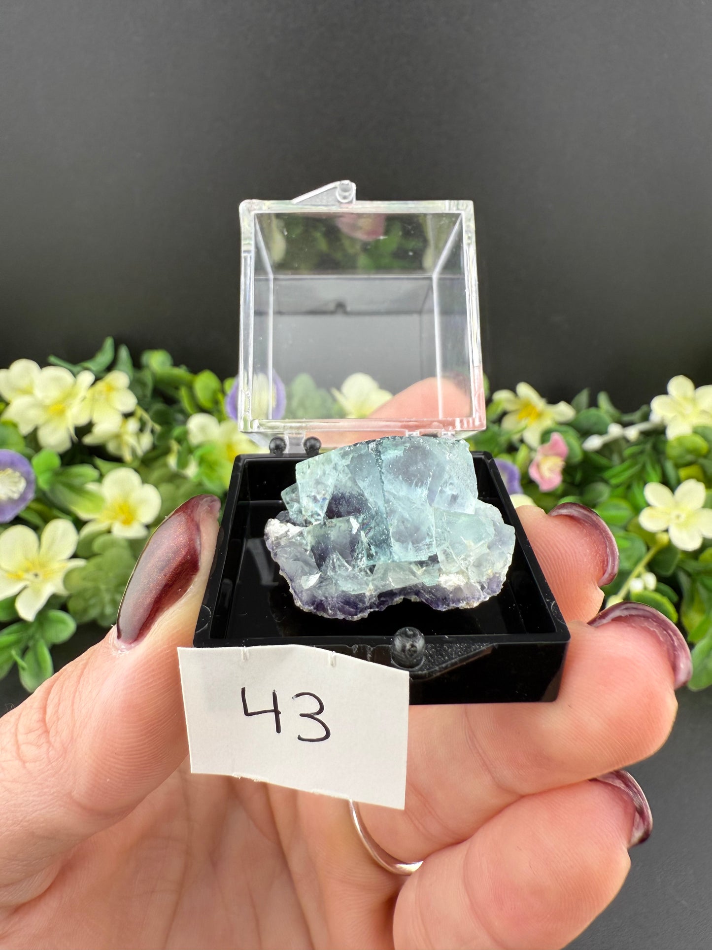 Yindu Fluorites