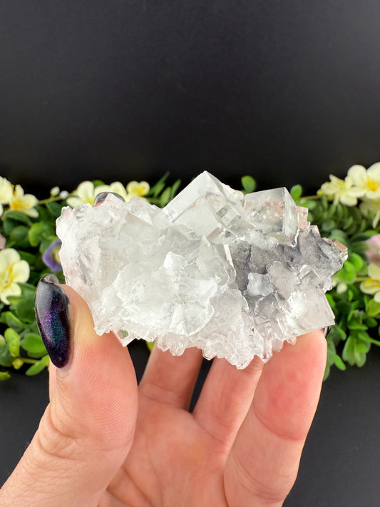 XHL Fluorite on Quartz