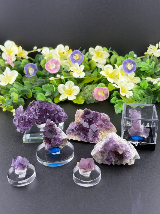 High Quality Purple “Window” Fluorites