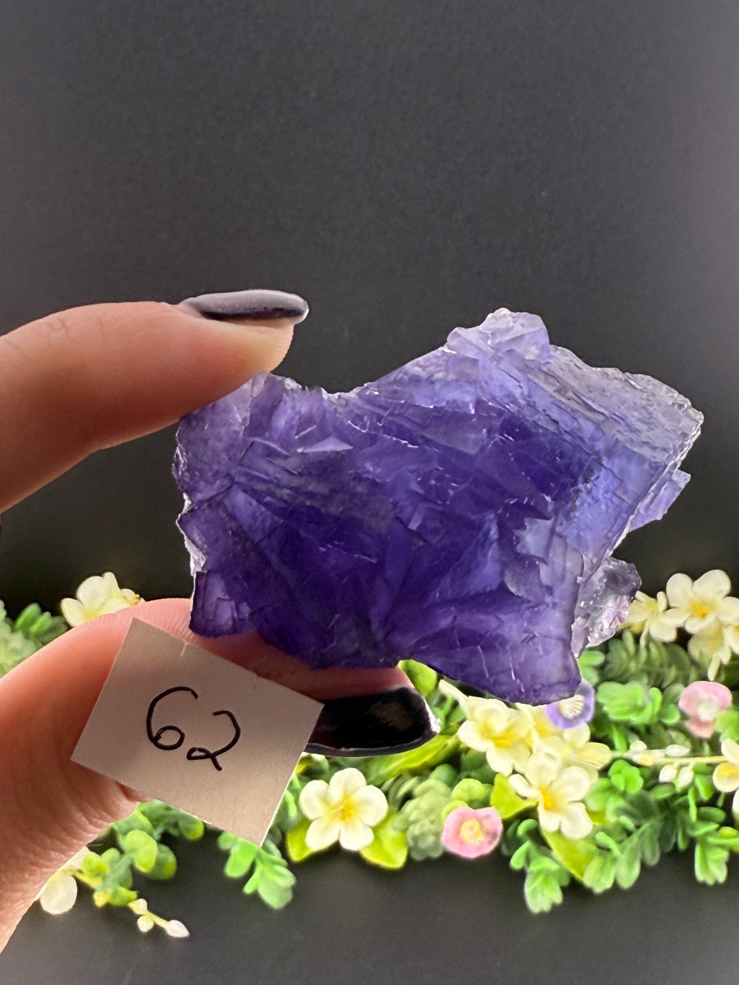 Blue Petroleum Fluorites