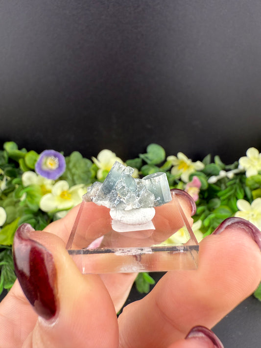 Aquamarine Cluster
