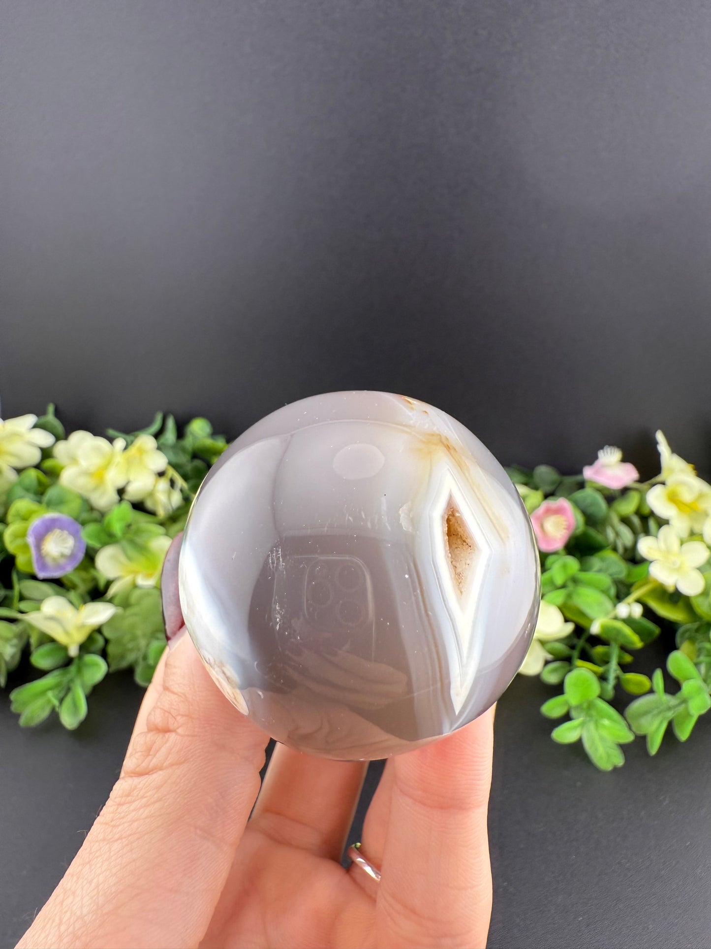 Druzy Orca Agate Mushroom