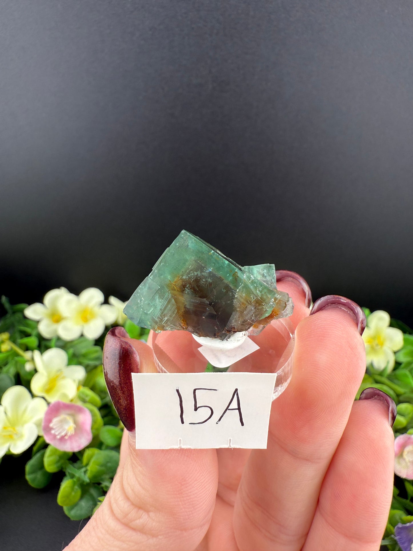 Rogerley Fluorites (Mixed Pockets)