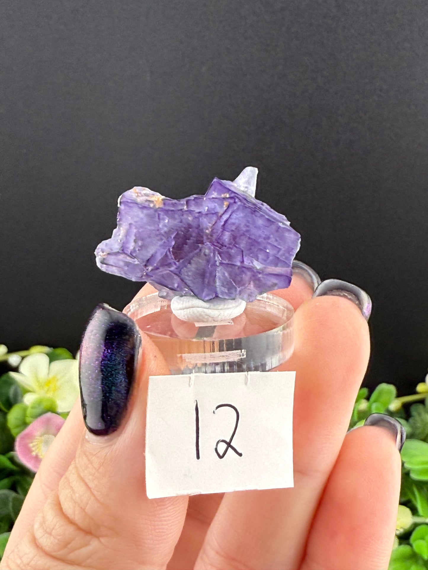 Blue Petroleum Fluorites