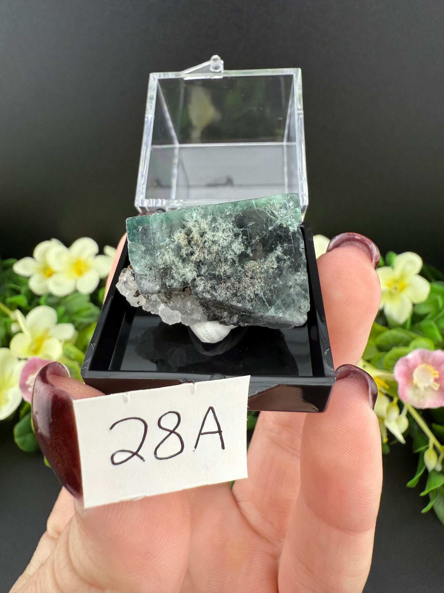 Milky Way Fluorites