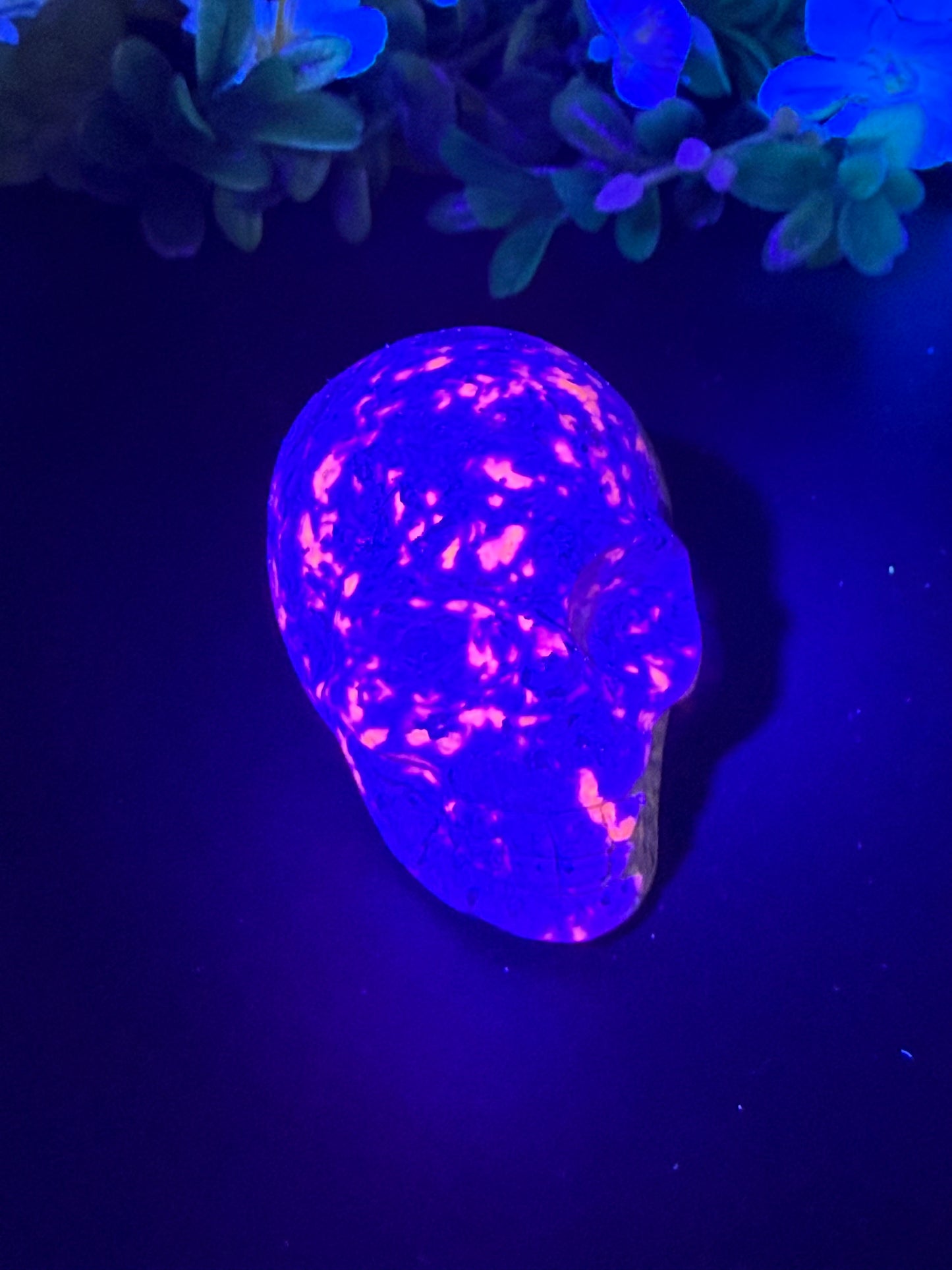 Yooperlite Skull