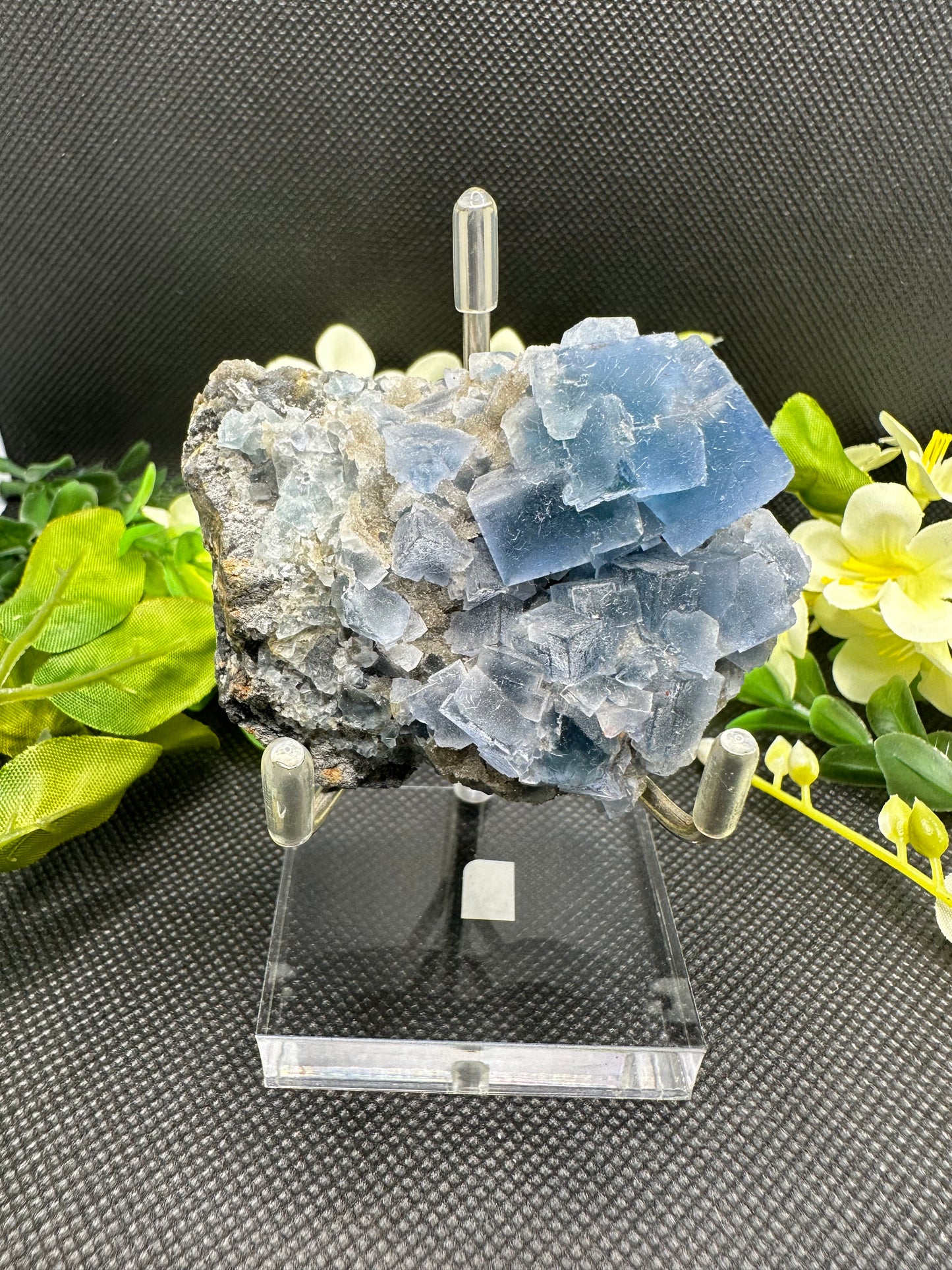 Blue Fluorite Specimen F