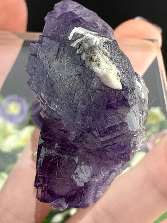 YGX Fluorite with Bismuthinite Inclusions