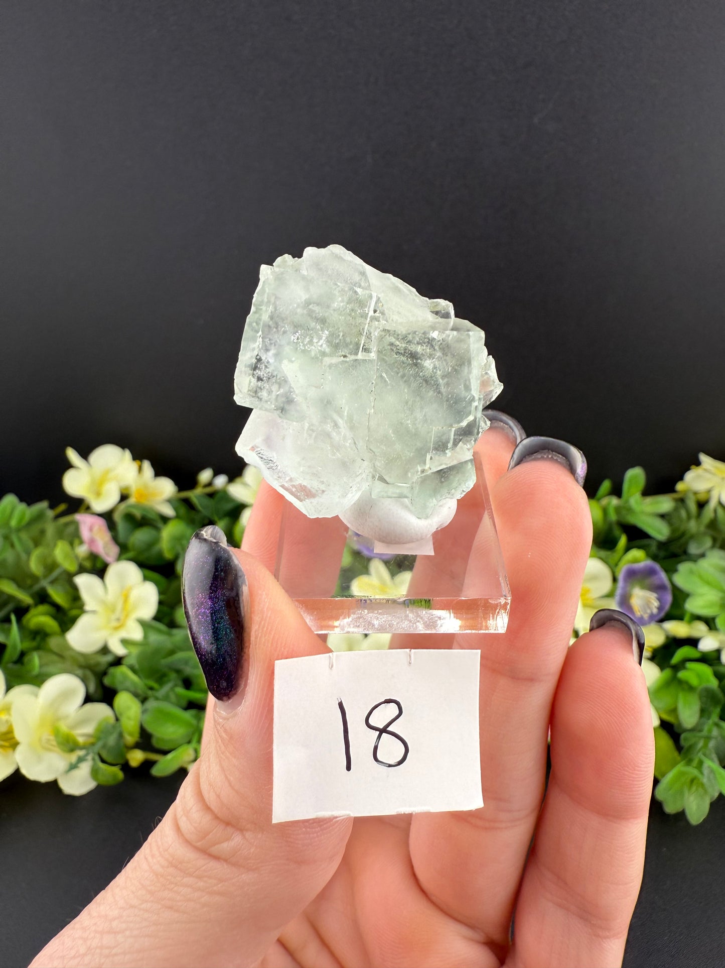 Clear XHL Fluorite