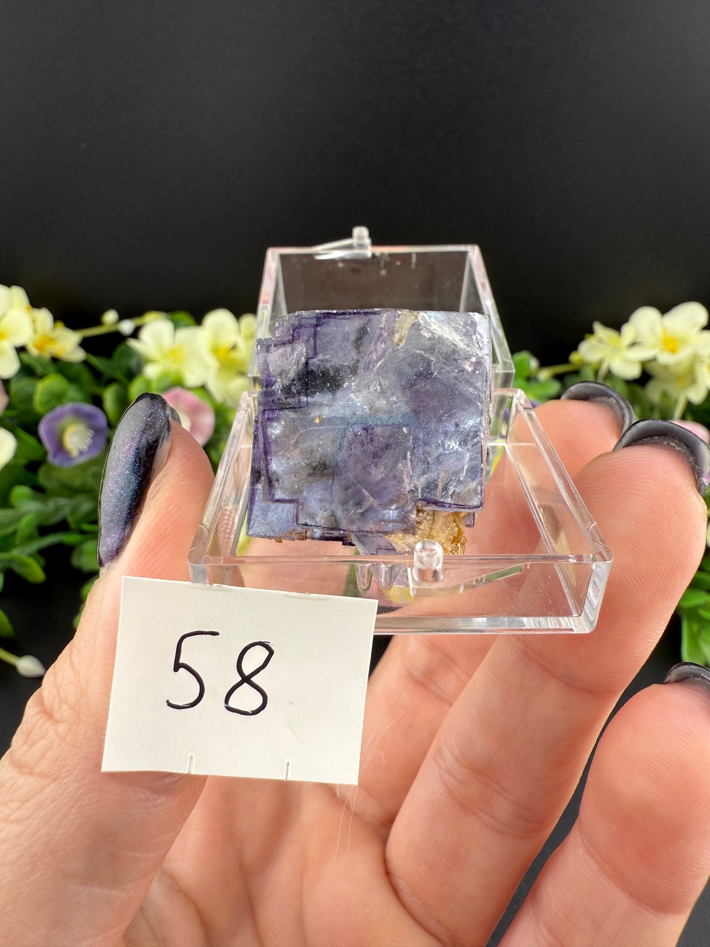 YGX Fluorites (Lot 1)