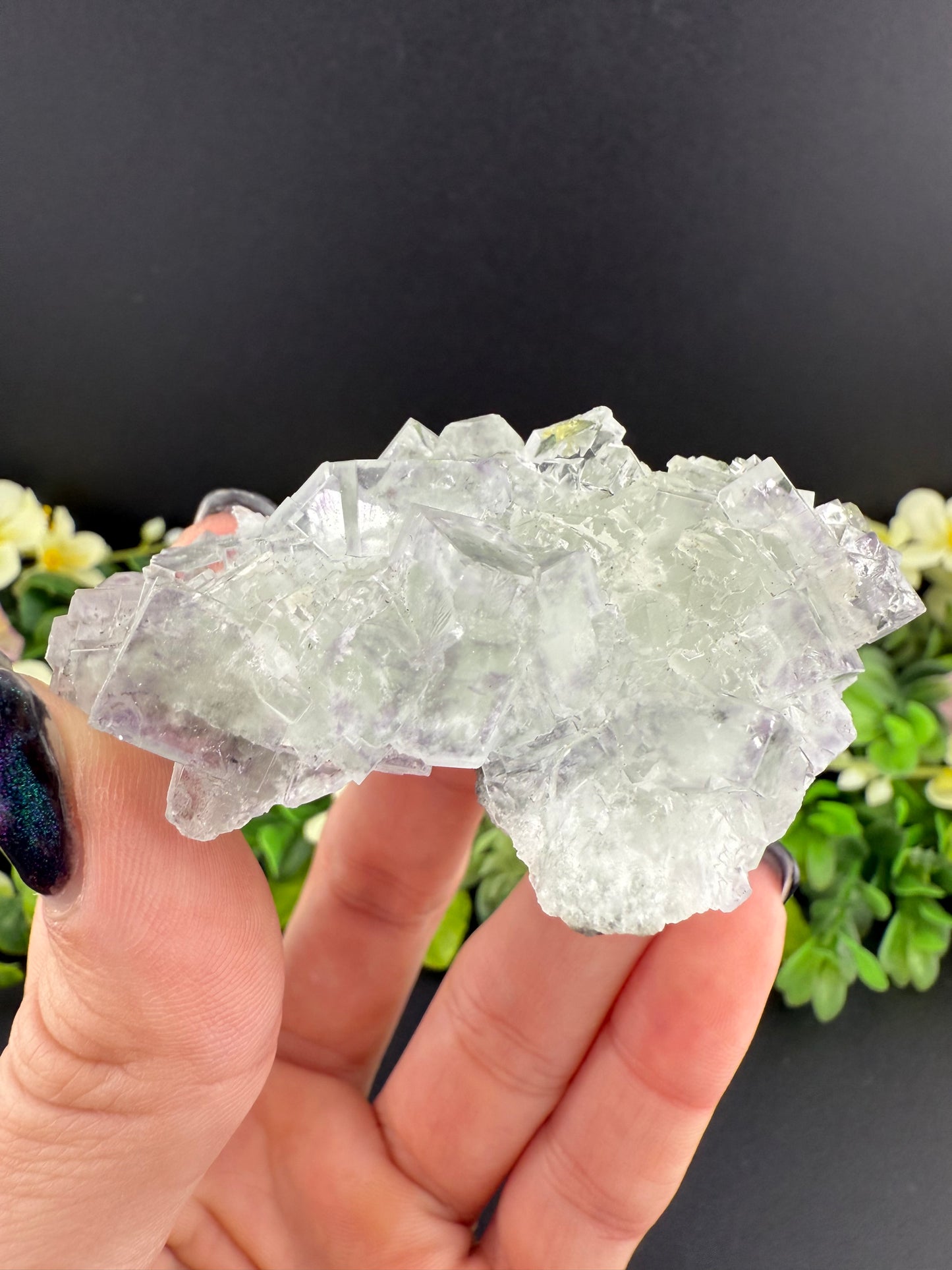 XHL Fluorite with Purple Phantoms