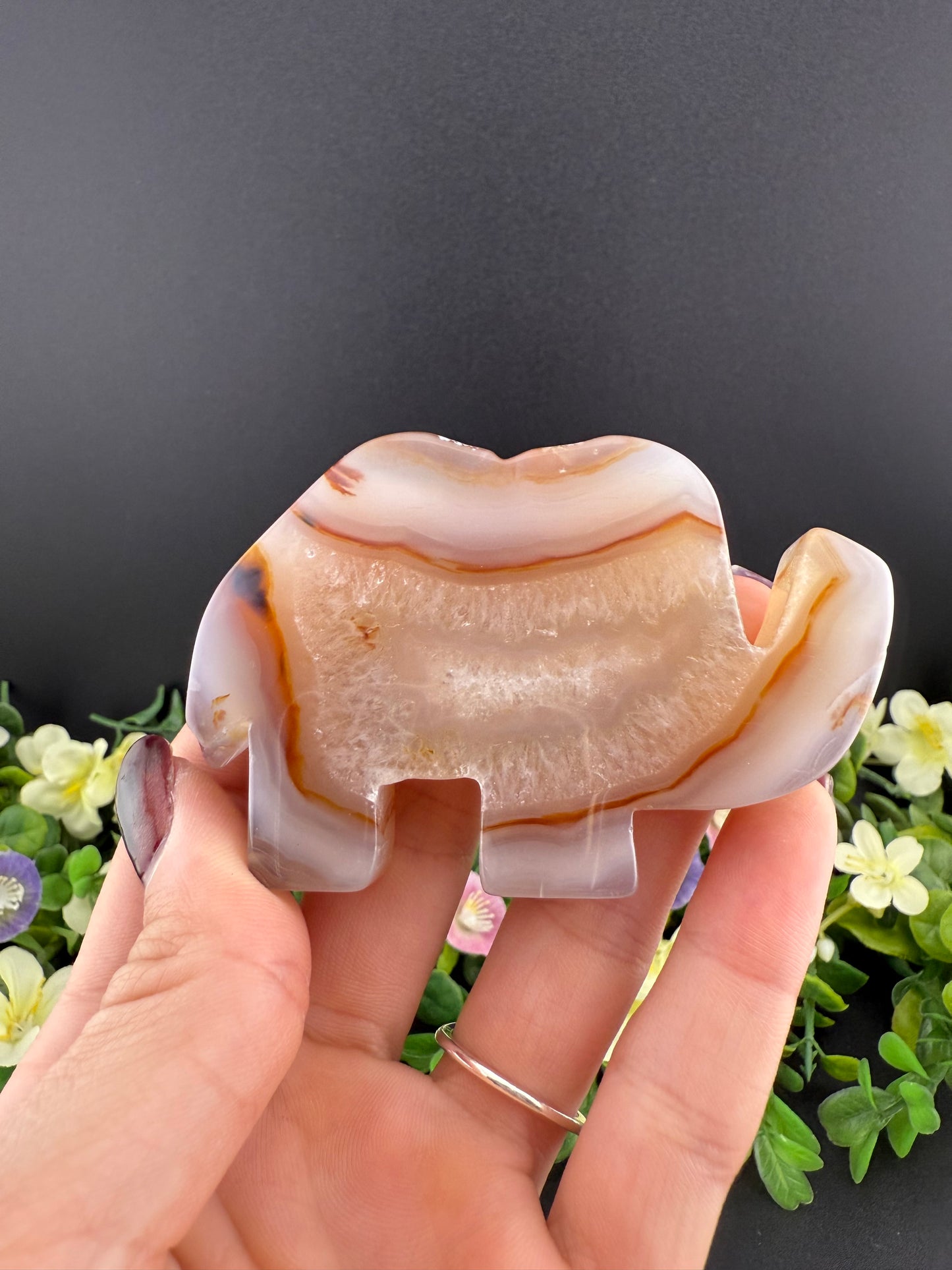 Agate Elephant Slice