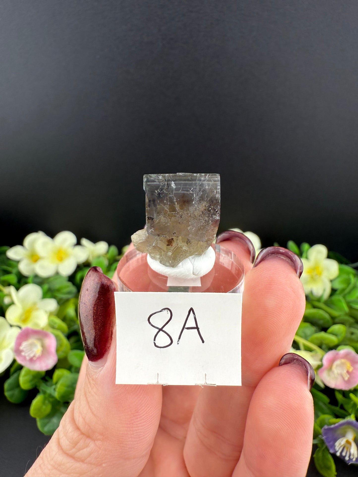 Rogerley Fluorites (Mixed Pockets)