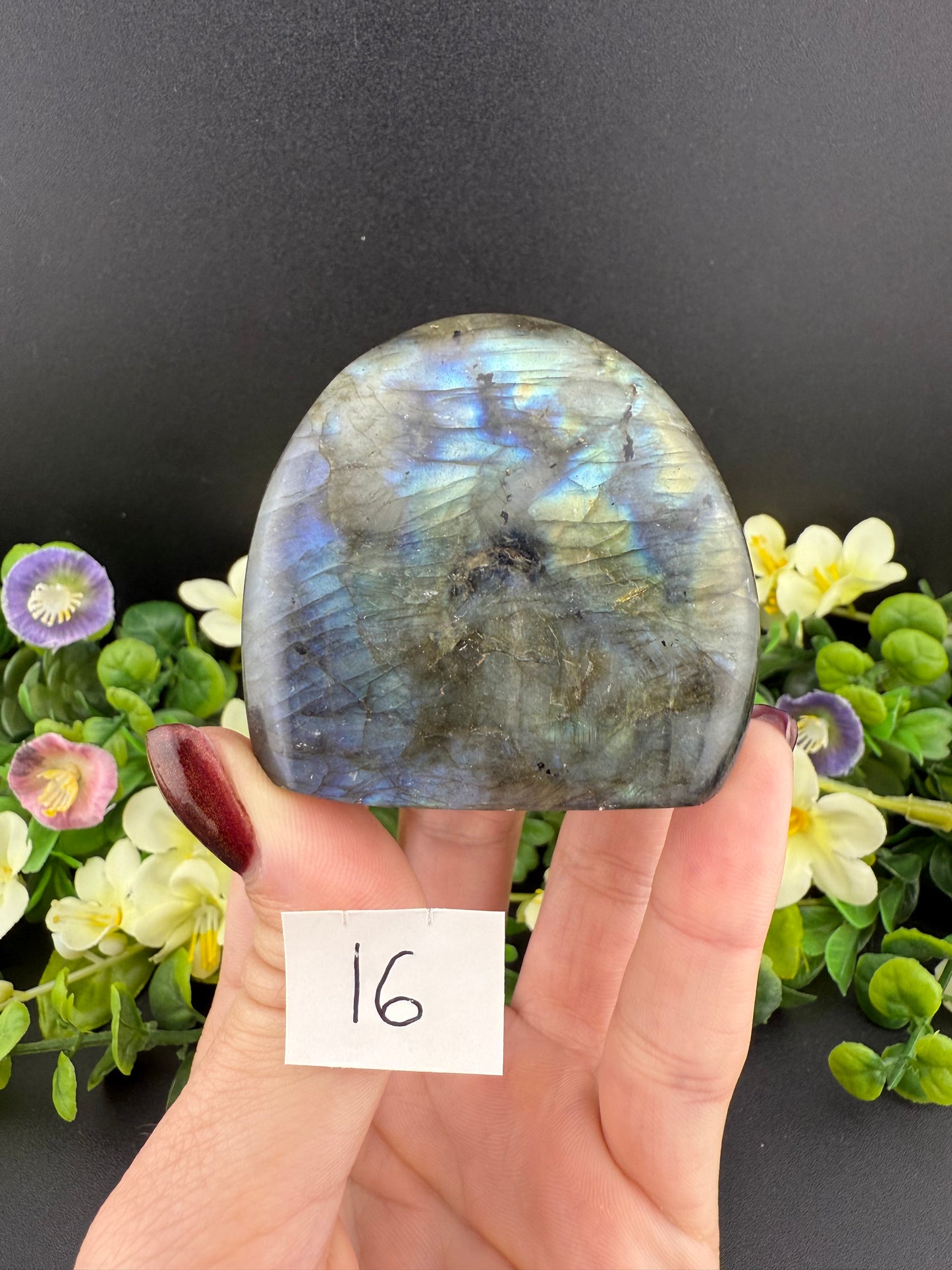 Small Labradorite Freeforms