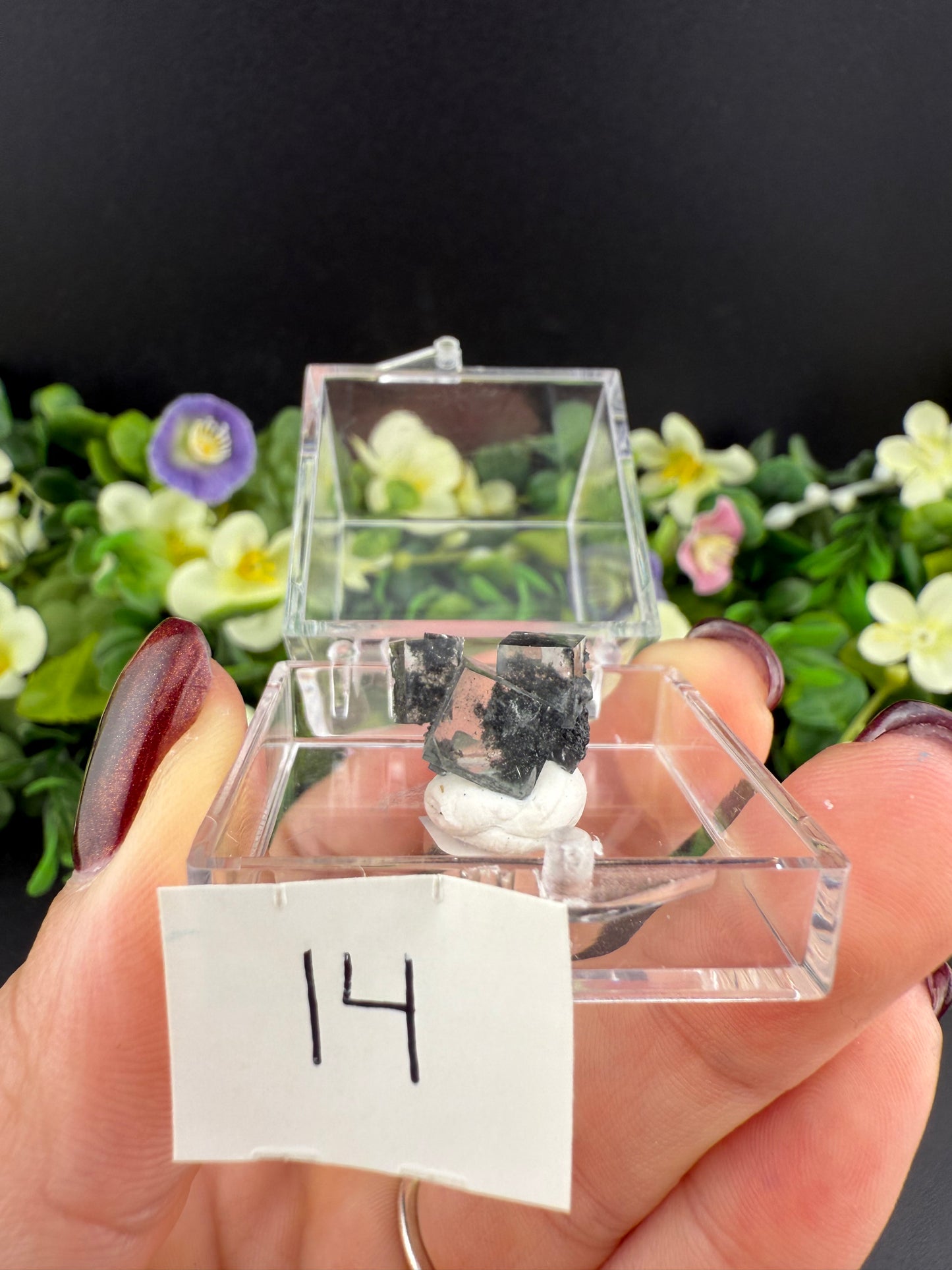 Small Green Garden Fluorite