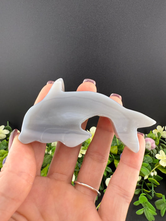 Agate Dolphin Slice