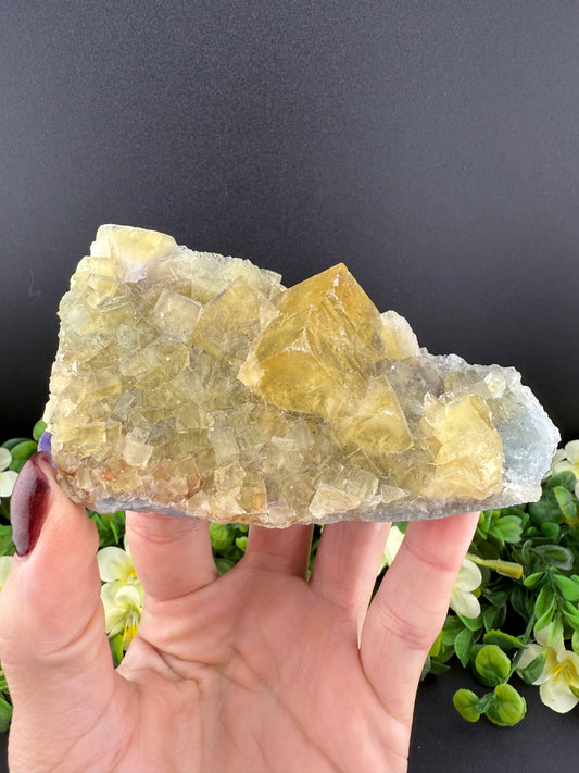 Yellow & Blue Cubic Beijing Fluorite