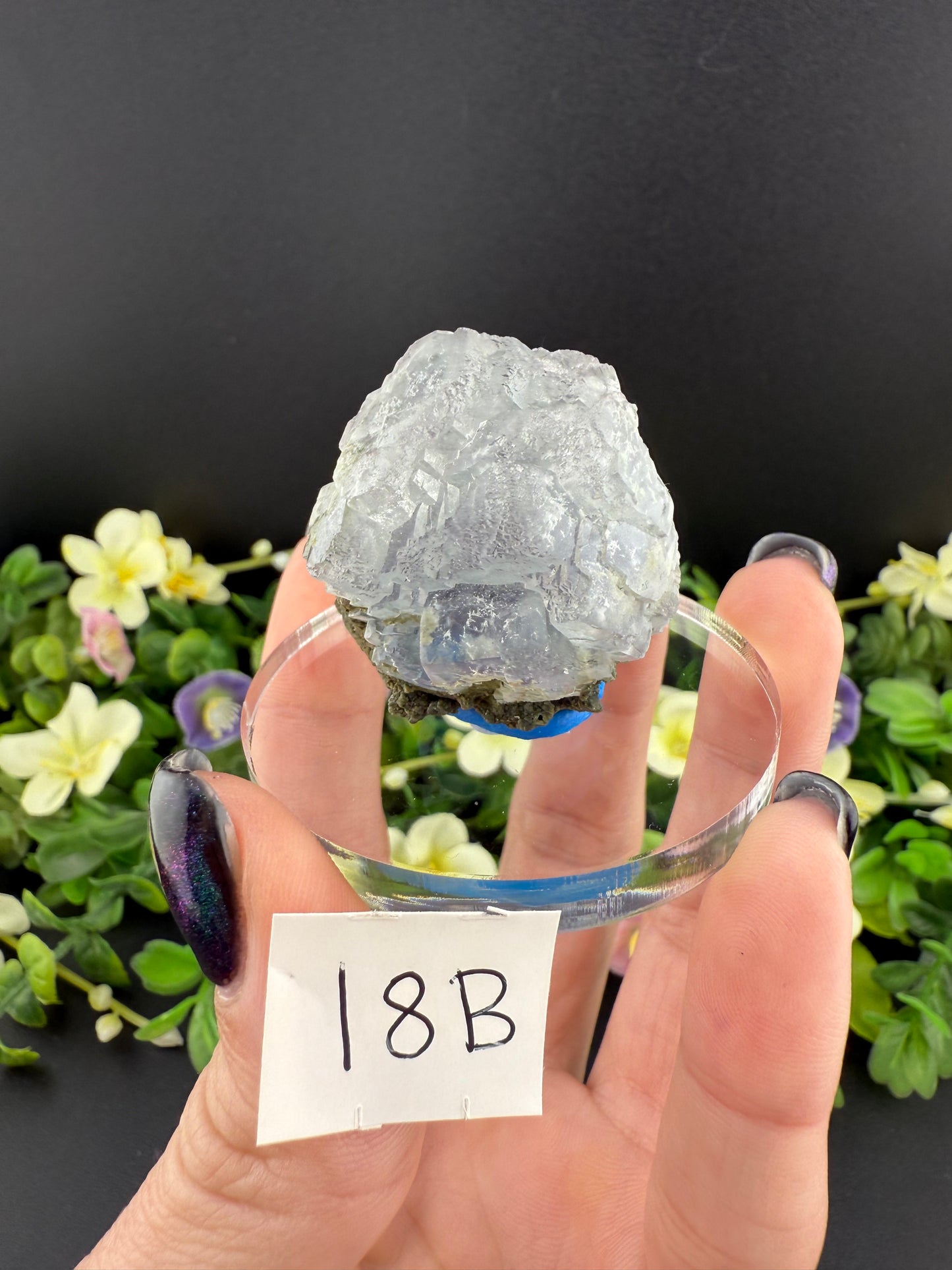 YGX Fluorites (Lot 2)
