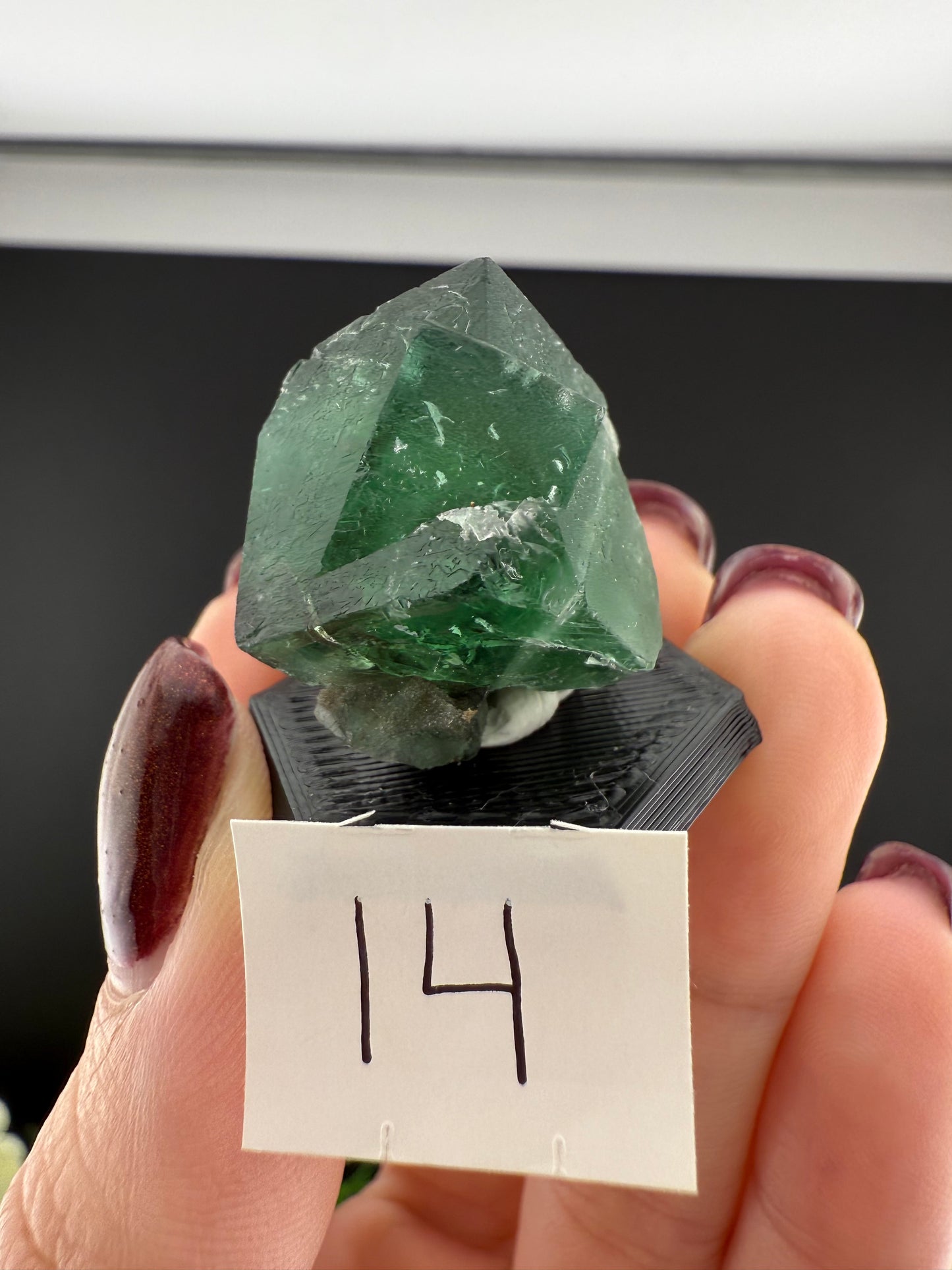 Rogerley Fluorites (Mixed Pockets)