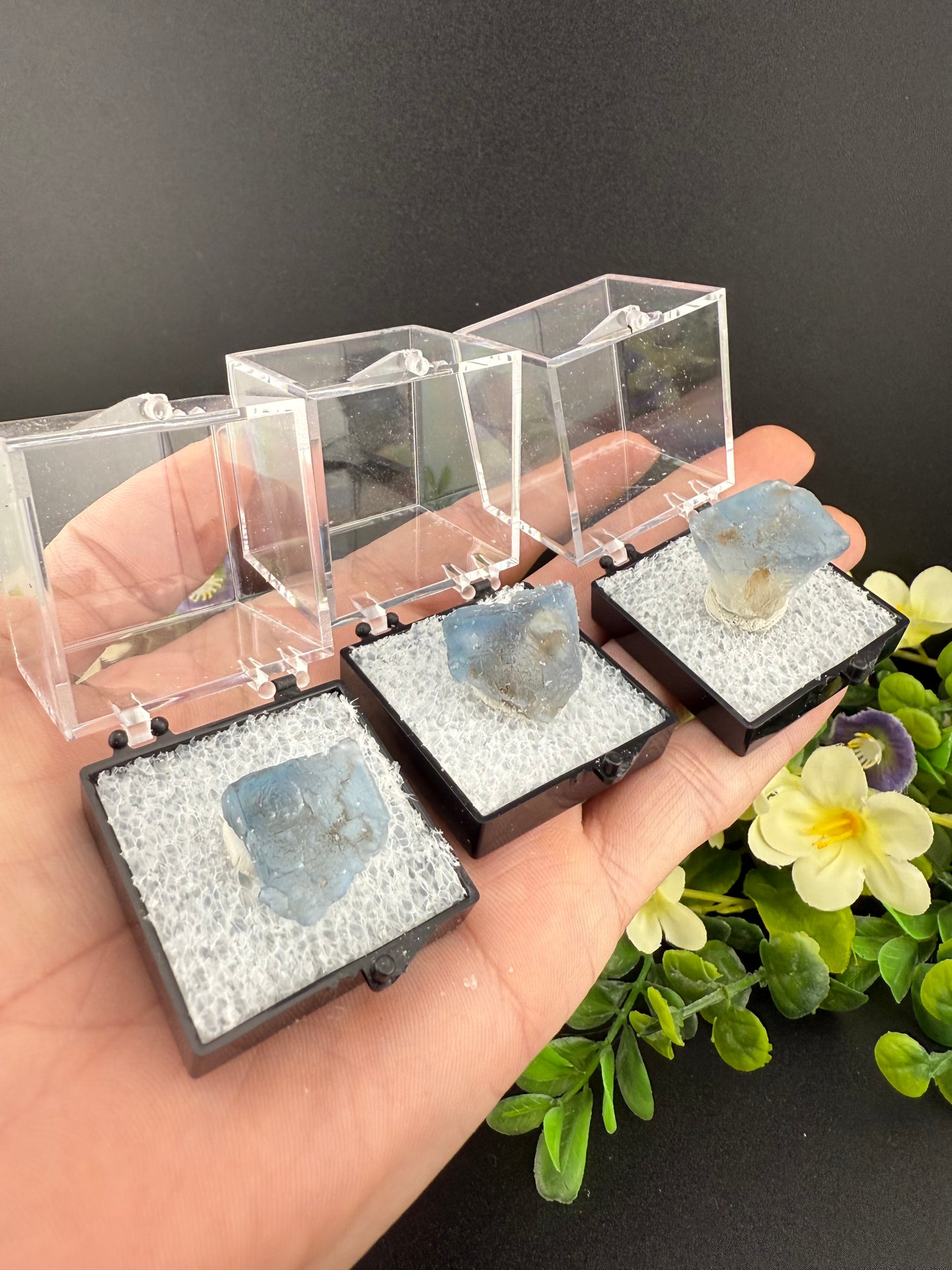 “Panama” Fluorites {Intuitively Chosen}