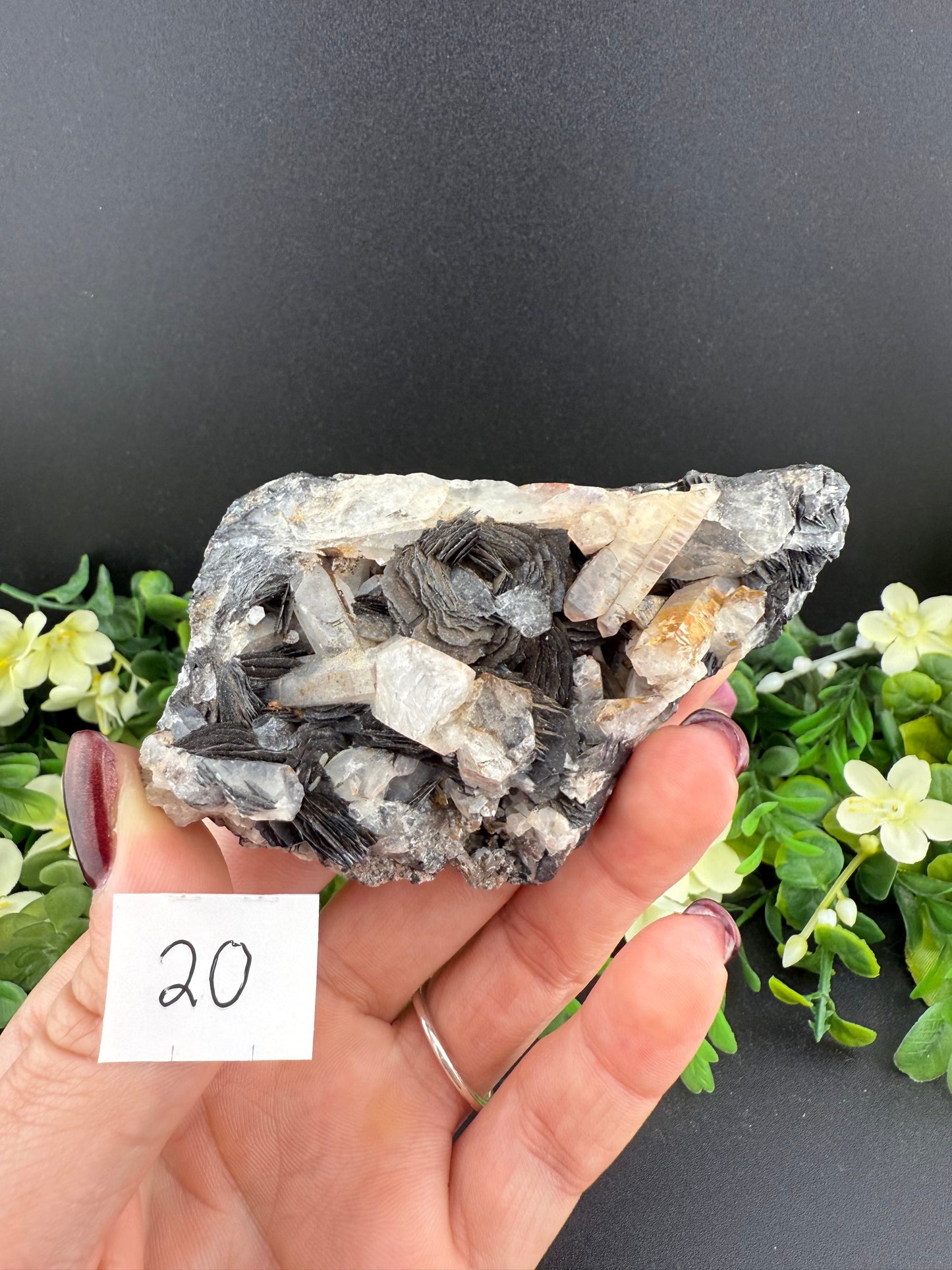Specularite Rose Specimens