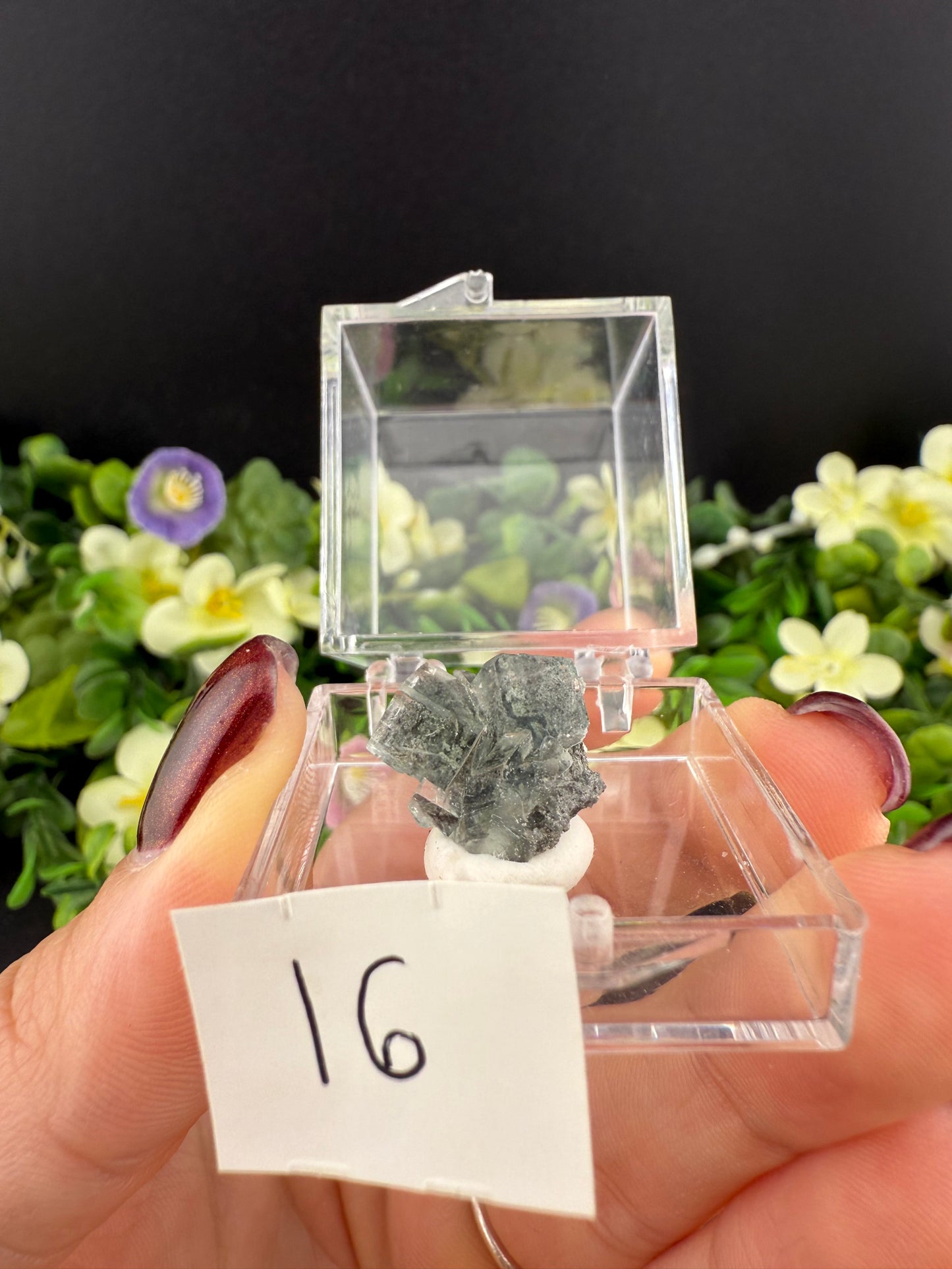 Small Green Garden Fluorite