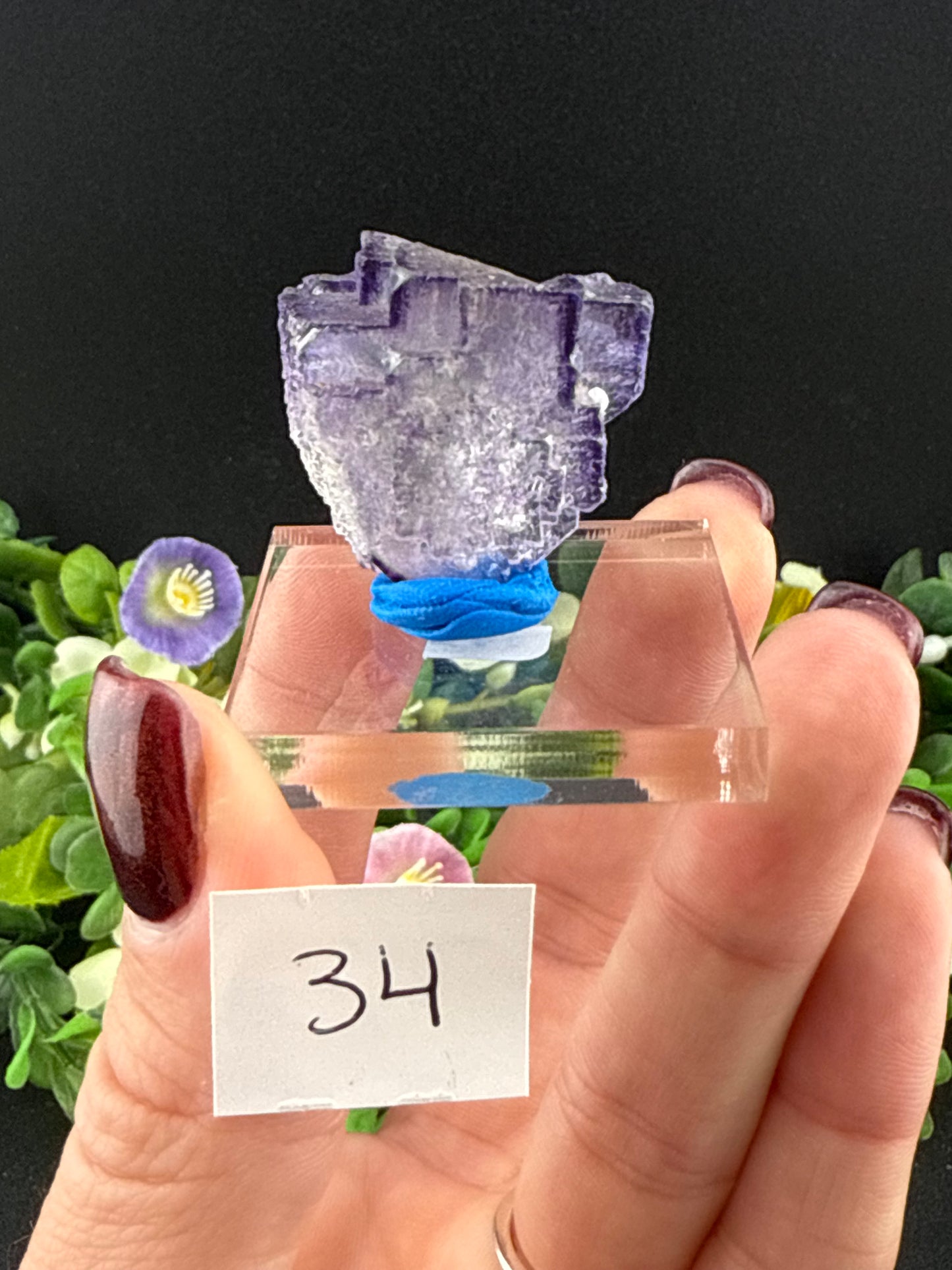 Elmwood Fluorites