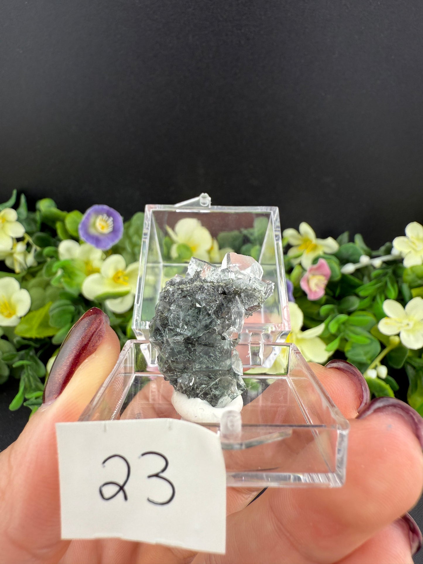 Small Green Garden Fluorite