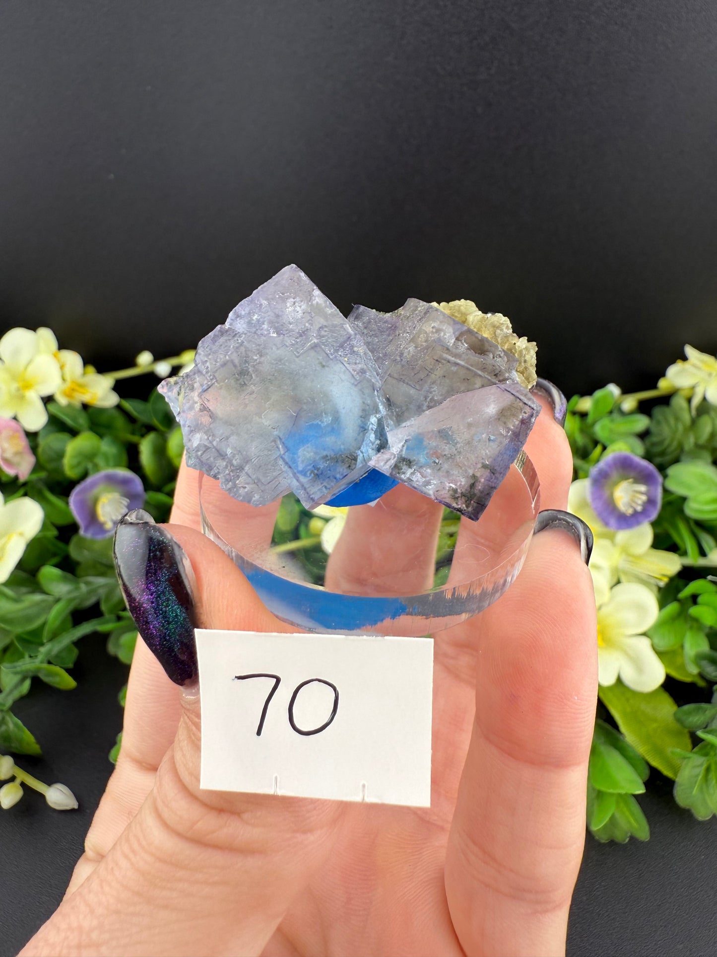 YGX Fluorites (Lot 1)
