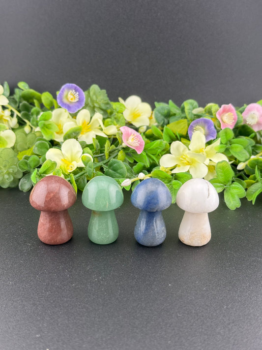 Small Mushrooms