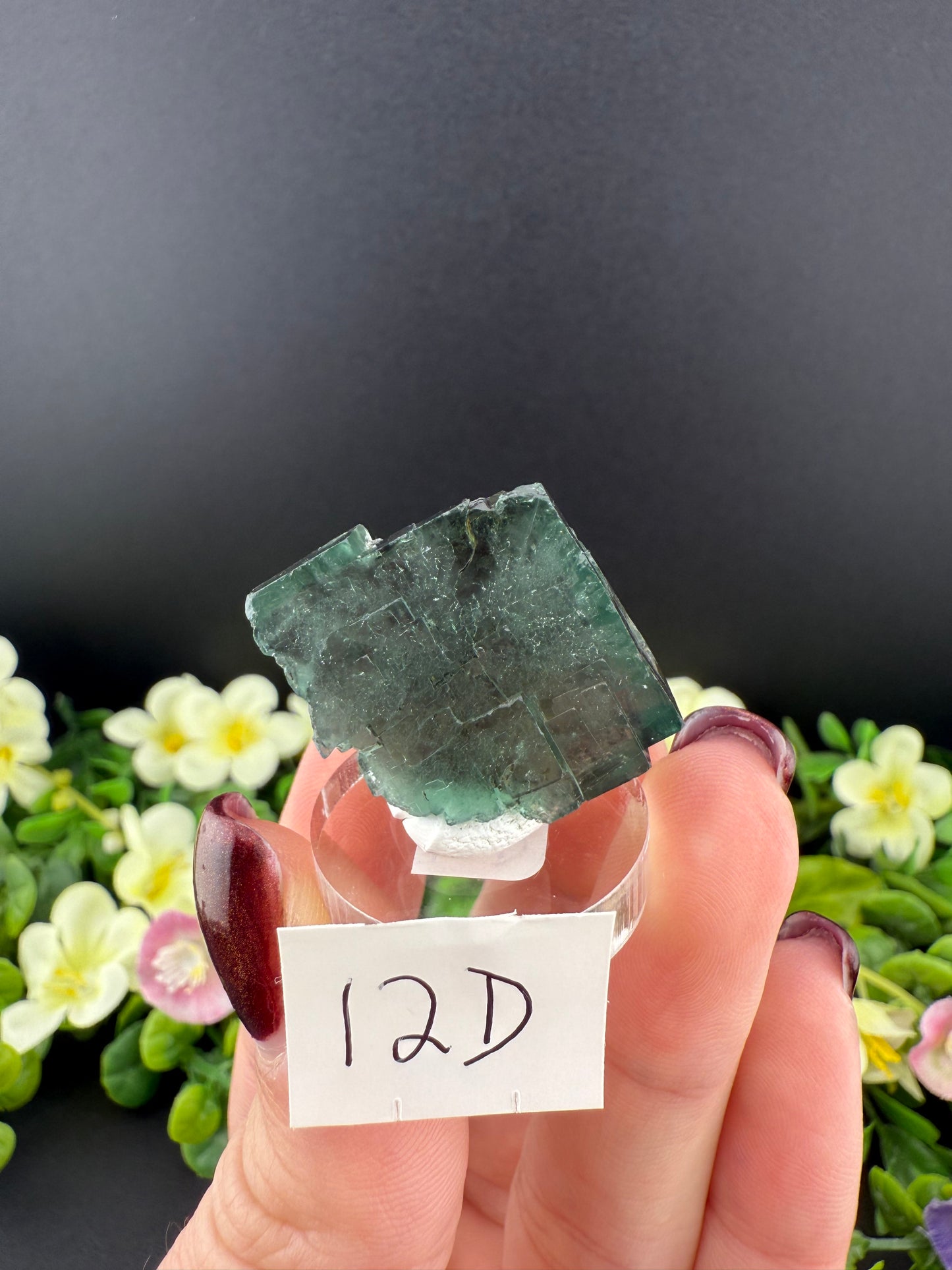 Rogerley Fluorites (Mixed Pockets)